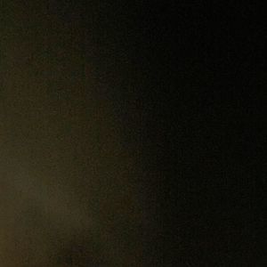 Meet your Posher, Brady